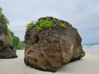 real estate; property, property for sale; property for lease; buying property in sumba; buying property in Indonesia; investment in sumba; investment in sumba; investment in Indonesia; buy property in Indonesia; buy property in sumba; beach for sale; island for lease;  Indonesia; Raja Ampat; West Papua; Yeben Kecil Island; sumba; prodej pozemků; pozemky na prodej; prodej pozemků Indonésie; nemovitosti; nemovitost na prodej; ostrov na pronájem; koupě nemovitostí; investice; ostrov; pronájem ostrova; land; pozemek; pozemky; Belitung; sumba investment; beach for sale; Sumba Beach for sale