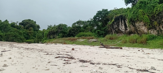 real estate; property, property for sale; property for lease; buying property in sumba; buying property in Indonesia; investment in sumba; investment in sumba; investment in Indonesia; buy property in Indonesia; buy property in sumba; beach for sale; island for lease;  Indonesia; Raja Ampat; West Papua; Yeben Kecil Island; sumba; prodej pozemků; pozemky na prodej; prodej pozemků Indonésie; nemovitosti; nemovitost na prodej; ostrov na pronájem; koupě nemovitostí; investice; ostrov; pronájem ostrova; land; pozemek; pozemky; Belitung; sumba investment; beach for sale; Sumba Beach for sale