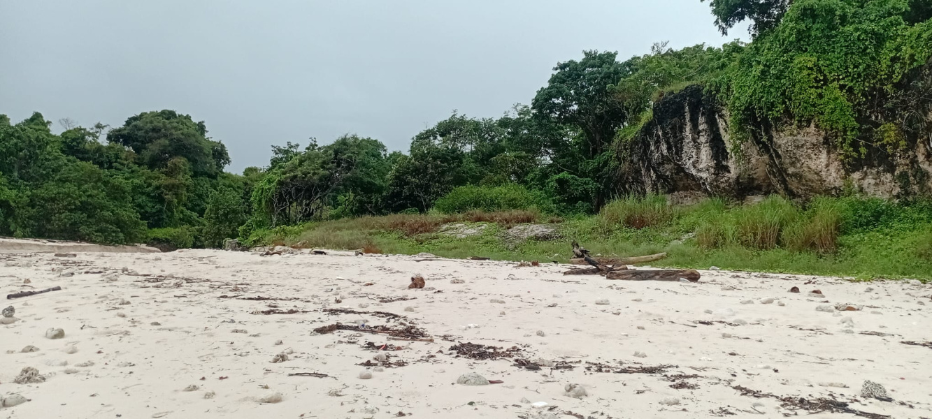 real estate; property, property for sale; property for lease; buying property in sumba; buying property in Indonesia; investment in sumba; investment in sumba; investment in Indonesia; buy property in Indonesia; buy property in sumba; beach for sale; island for lease;  Indonesia; Raja Ampat; West Papua; Yeben Kecil Island; sumba; prodej pozemků; pozemky na prodej; prodej pozemků Indonésie; nemovitosti; nemovitost na prodej; ostrov na pronájem; koupě nemovitostí; investice; ostrov; pronájem ostrova; land; pozemek; pozemky; Belitung; sumba investment; beach for sale; Sumba Beach for sale