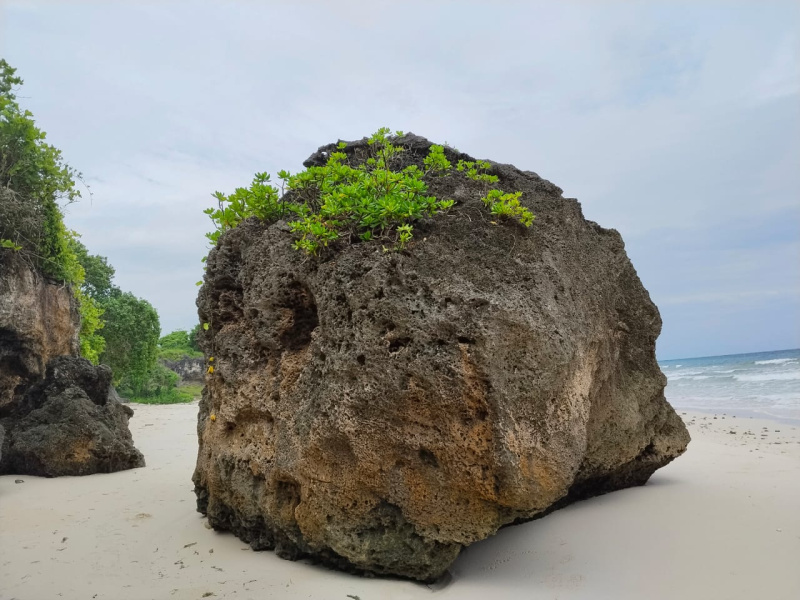 real estate; property, property for sale; property for lease; buying property in sumba; buying property in Indonesia; investment in sumba; investment in sumba; investment in Indonesia; buy property in Indonesia; buy property in sumba; beach for sale; island for lease;  Indonesia; Raja Ampat; West Papua; Yeben Kecil Island; sumba; prodej pozemků; pozemky na prodej; prodej pozemků Indonésie; nemovitosti; nemovitost na prodej; ostrov na pronájem; koupě nemovitostí; investice; ostrov; pronájem ostrova; land; pozemek; pozemky; Belitung; sumba investment; beach for sale; Sumba Beach for sale