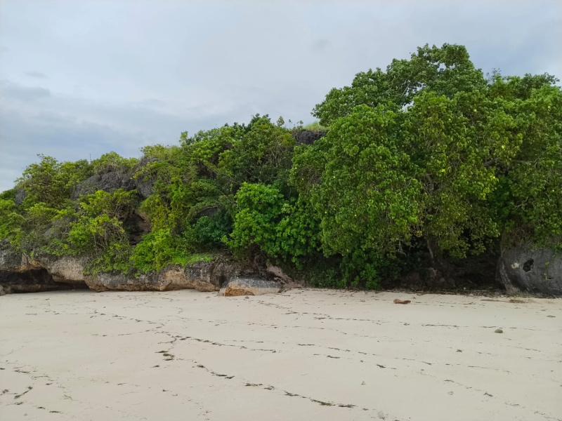 real estate; property, property for sale; property for lease; buying property in sumba; buying property in Indonesia; investment in sumba; investment in sumba; investment in Indonesia; buy property in Indonesia; buy property in sumba; beach for sale; island for lease;  Indonesia; Raja Ampat; West Papua; Yeben Kecil Island; sumba; prodej pozemků; pozemky na prodej; prodej pozemků Indonésie; nemovitosti; nemovitost na prodej; ostrov na pronájem; koupě nemovitostí; investice; ostrov; pronájem ostrova; land; pozemek; pozemky; Belitung; sumba investment; beach for sale; Sumba Beach for sale