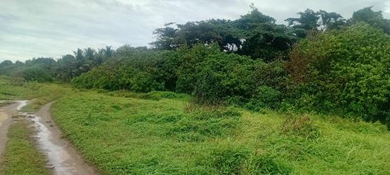 real estate; property, property for sale; property for lease; buying property in sumba; buying property in Indonesia; investment in sumba; investment in sumba; investment in Indonesia; buy property in Indonesia; buy property in sumba; beach for sale; island for lease;  Indonesia; Raja Ampat; West Papua; Yeben Kecil Island; sumba; prodej pozemků; pozemky na prodej; prodej pozemků Indonésie; nemovitosti; nemovitost na prodej; ostrov na pronájem; koupě nemovitostí; investice; ostrov; pronájem ostrova; land; pozemek; pozemky; Belitung; sumba investment; beach for sale; Wainyapu Beach for sale; sumba