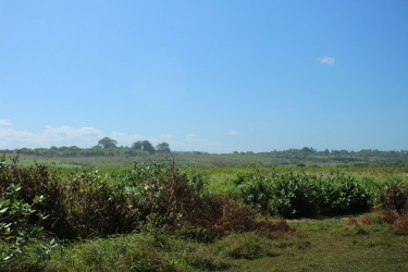 Land for sale nearby traditional village Ratenggaro