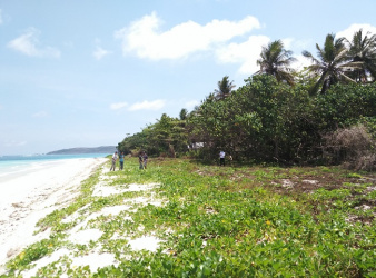 Land for sale, Waingapu, Sumba Island, excellent investment