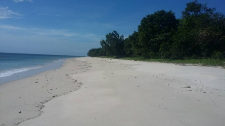 Lands in the north of Sumba Timur, excellent investment
