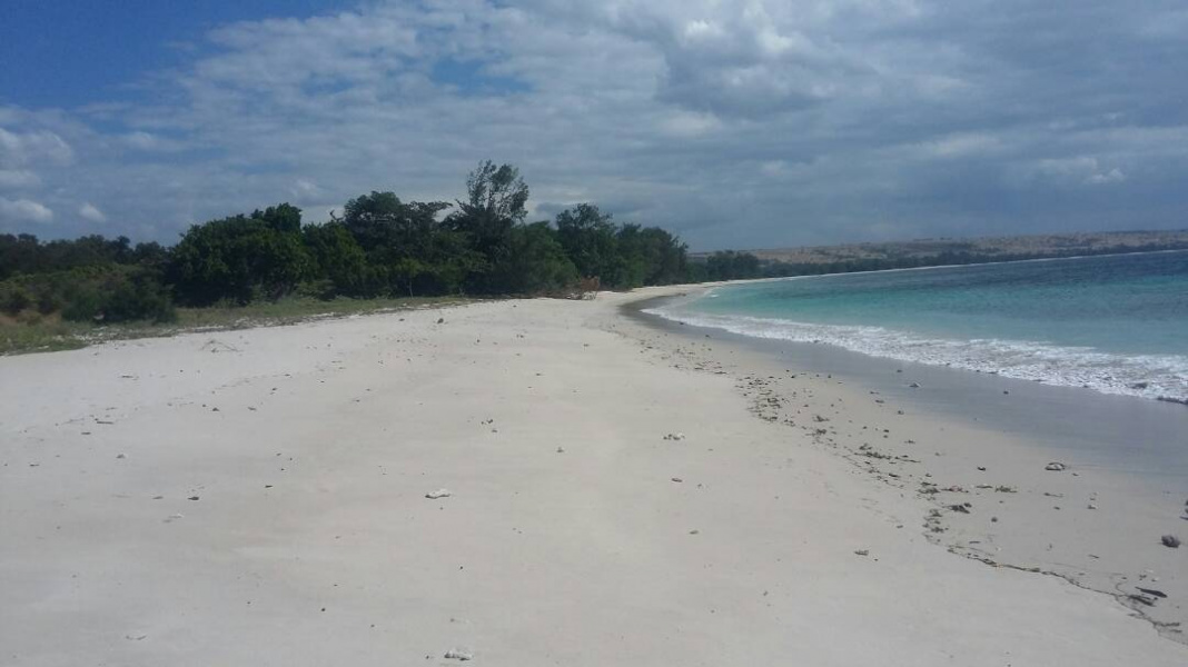 Lands in the north of Sumba Timur, excellent investment