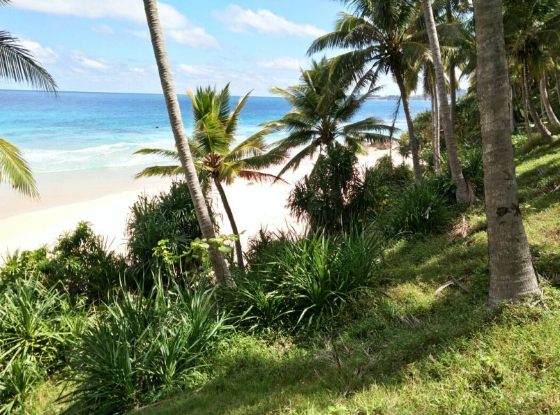 Land on the Nihiwatu beach , excellent investment