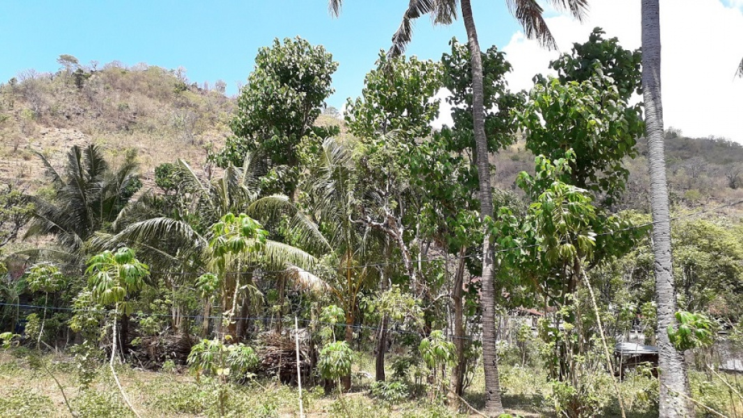 Land in Lean - Amed area, Bali, for sale
