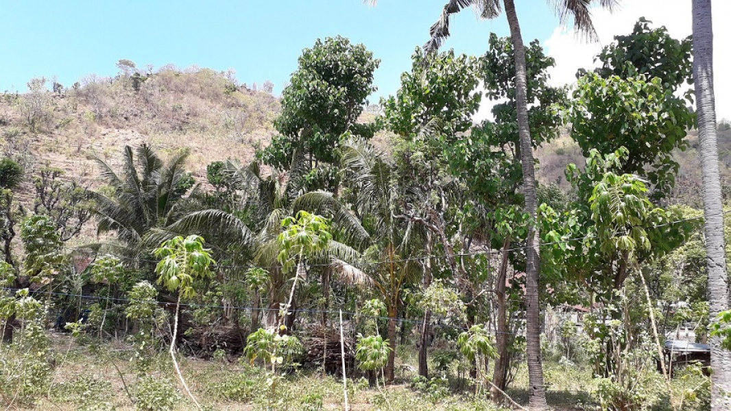 Land in Lean - Amed area, Bali, for sale