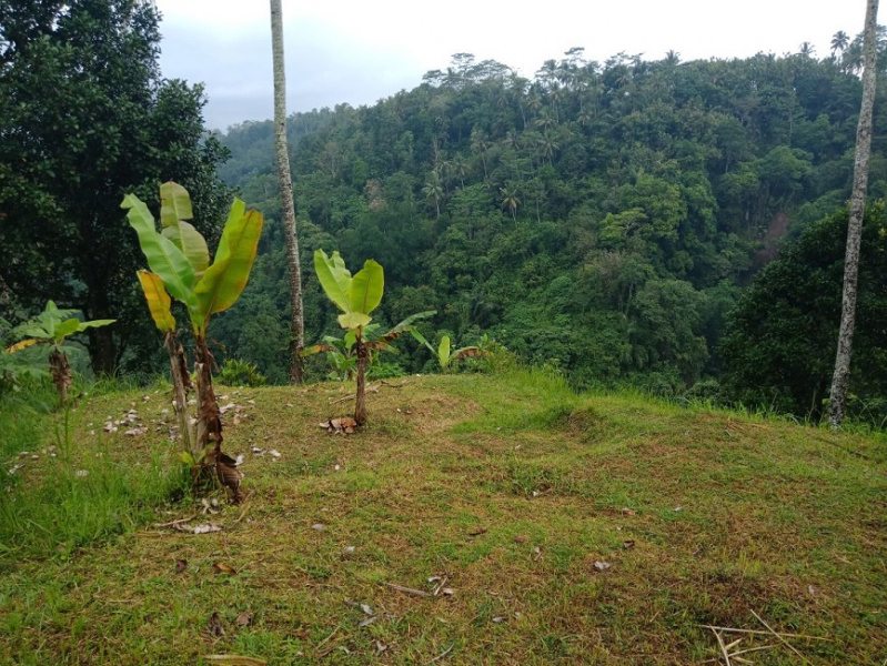 Land for sale with Hotel Licence Ubud, Bali