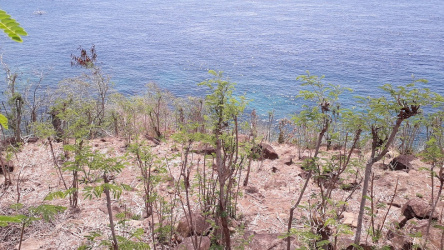 Coral garden view land in Batu Seni - Amed area, Bali, for sale