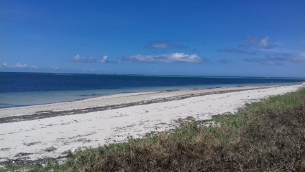 Land for sale on Pantai Maukaraki, Sumba Island