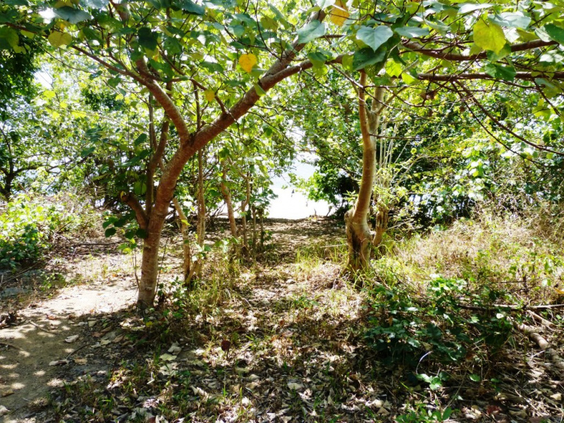 Land for sale on Pantai Maloba, Sumba Island
