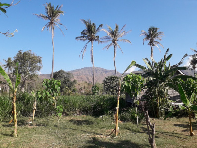 4 Are Land for lease, Jl. Melasti, Amed area, Karangasem, Bali 4 Are Land for lease, Jl. Melasti, Amed area, Karangasem, Bali