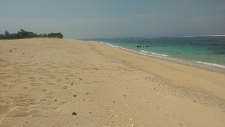The best surf beach property Pantai Marosi, West Sumba Island