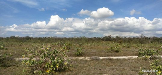 Land for sale on pantai Karuni, West Sumba