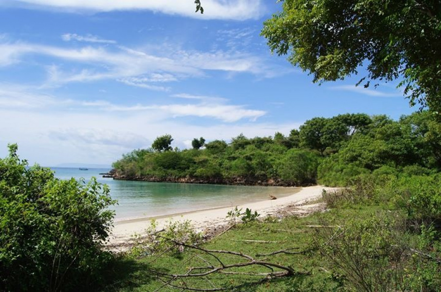 Land for sale on Lombok Island, Sekaroh,  Jerowaru, 4 hectares
