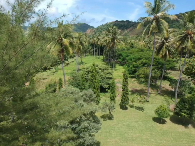 Land on Lombok Island, Labuan Poh, 8.500 M2