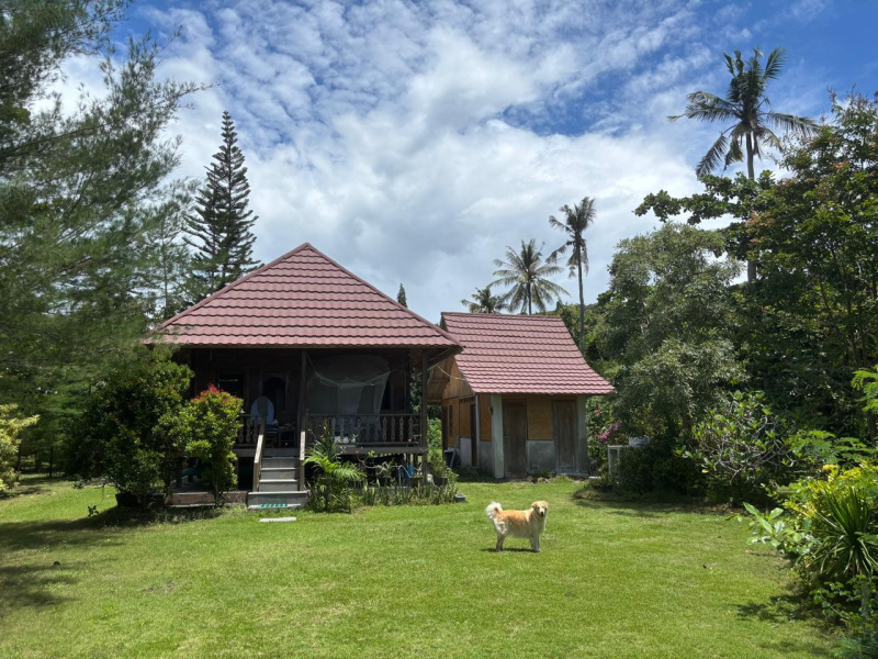 Land on Lombok Island, Labuan Poh, 8.500 M2