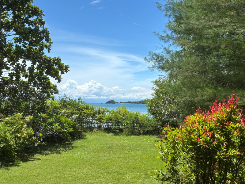 Land on Lombok Island, Labuan Poh, 8.500 M2